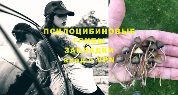 ECSTASY Пролетарск